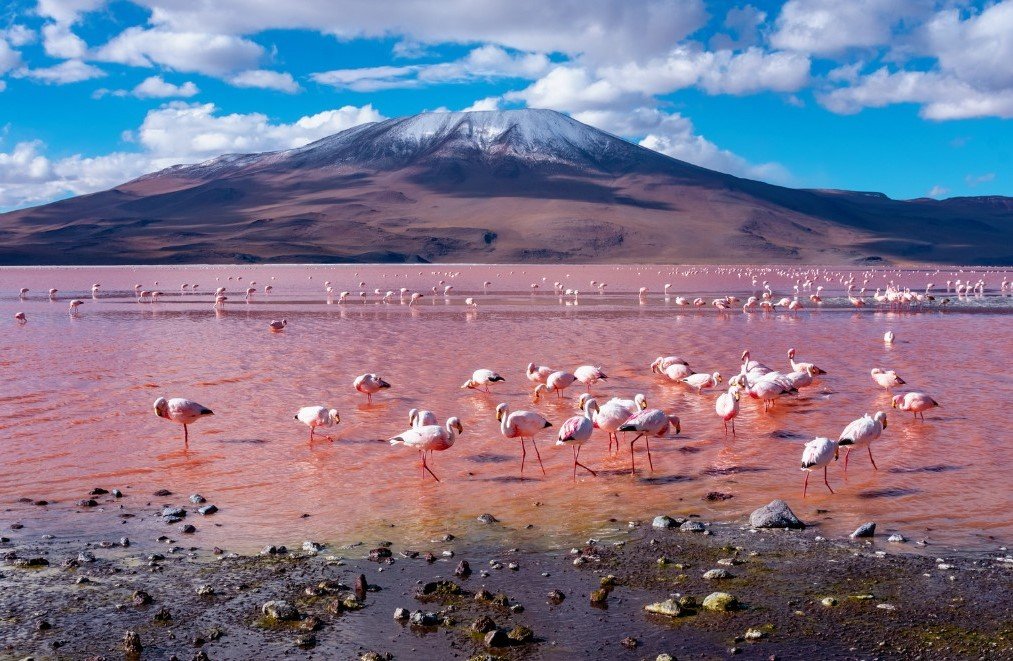 Laguna-Colorada-1